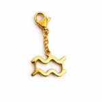 Charm – Verseau (astro) doré