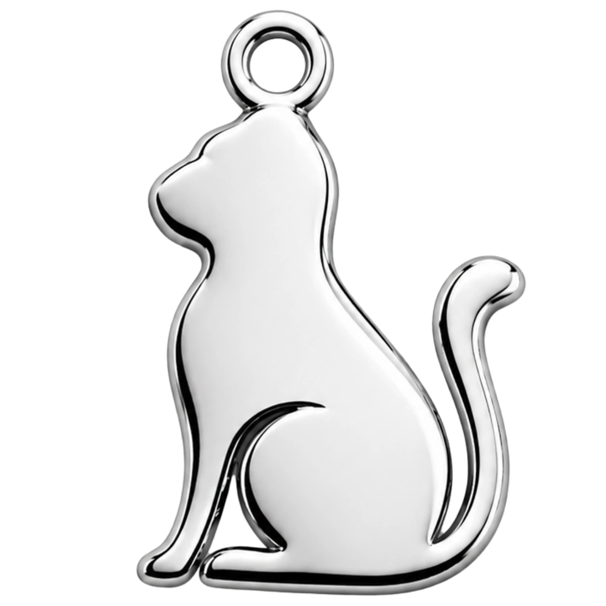 Charm – chat argenté