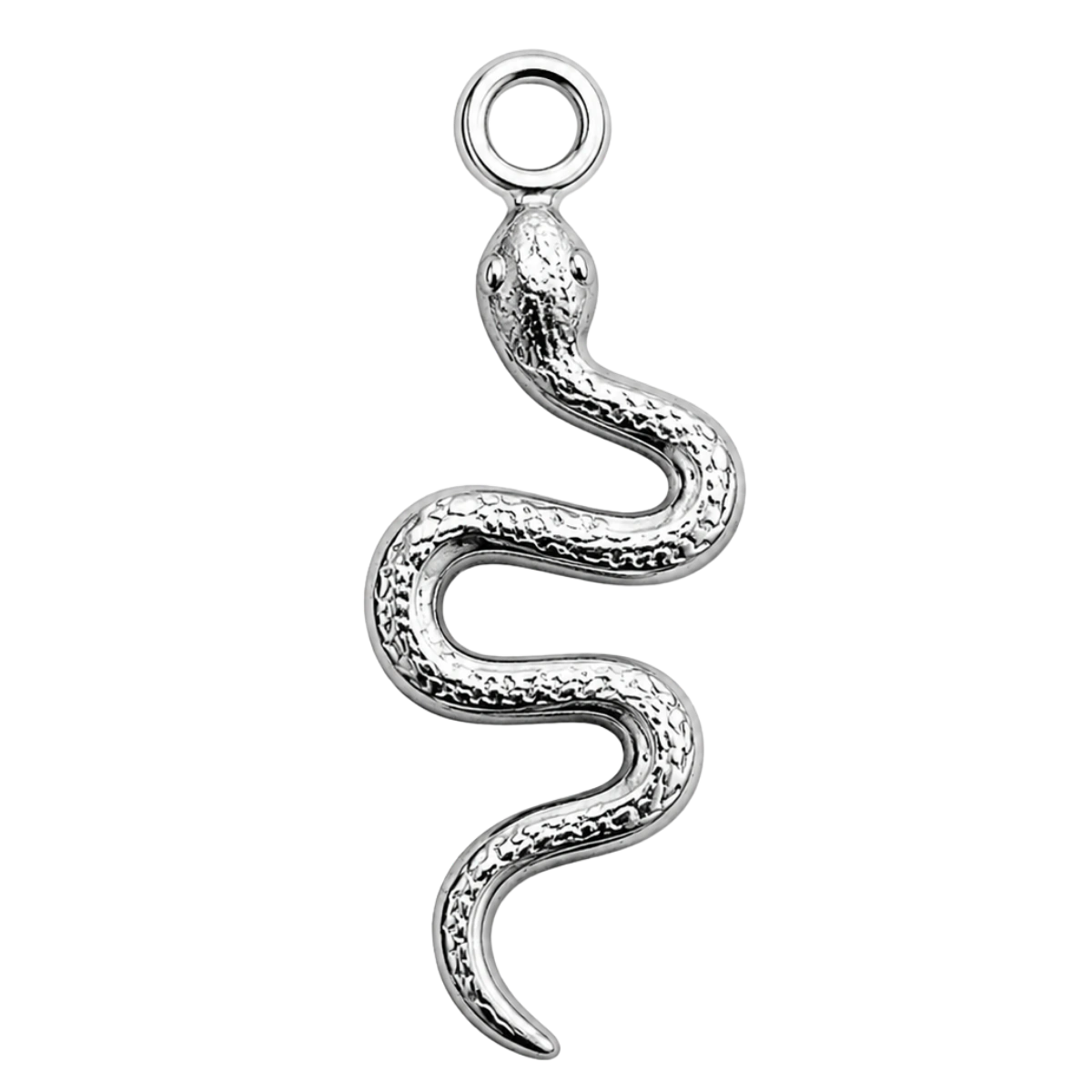 Charm – serpent argenté