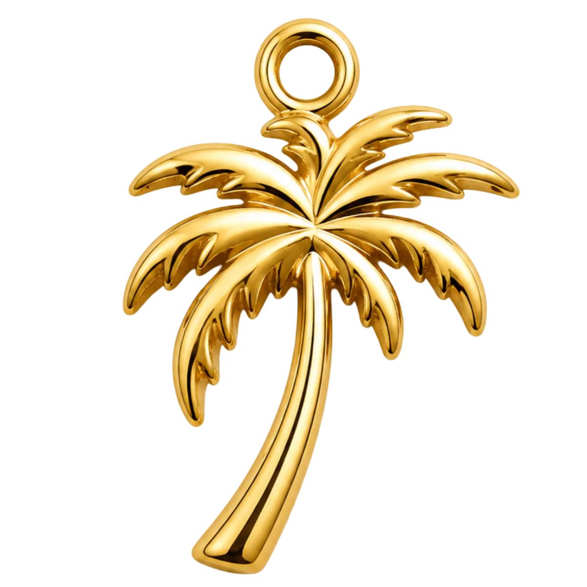 Charm – Palmier Doré